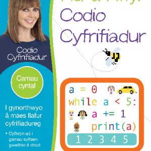 Her a Hwyl Codio Cyfrifiadur