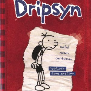 Dyddiadur Dripsyn