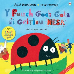 Fuwch Goch Gota a'i Geiriau Nesa, Y / What the Ladybird Heard Next