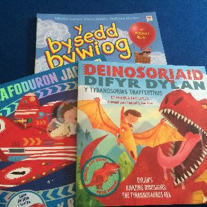 Pecyn Llun i Fechgyn