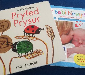 Pecyn Babi Newydd a Pryfed Prysur