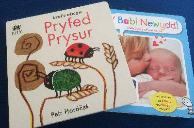 Pecyn Babi Newydd a Pryfed Prysur