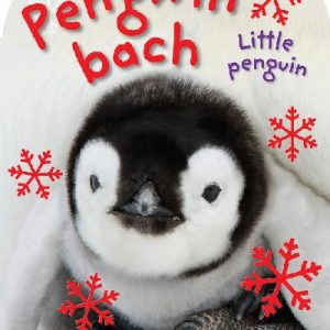 Cwtsh a Chyffwrdd: Pengwin Bach / Baby Touch and Feel: Little Penguin