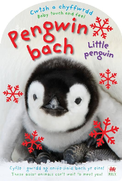 Cwtsh a Chyffwrdd: Pengwin Bach / Baby Touch and Feel: Little Penguin