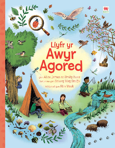 Llyfr yr Awyr Agored