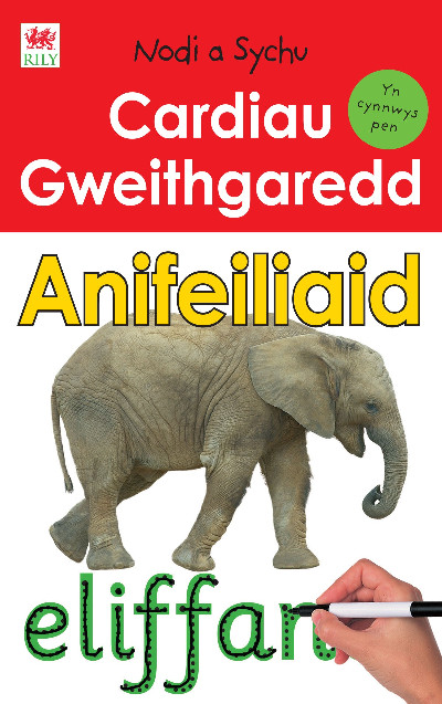 Cardiau Gweithgaredd Nodi a Sychu: Anifeiliaid