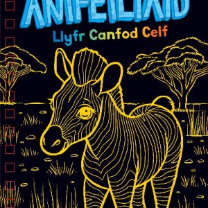 Llyfr Canfod Celf: Crafu/Creu Anifeiliaid