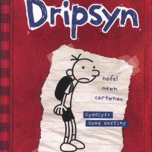 Dyddiadur Dripsyn