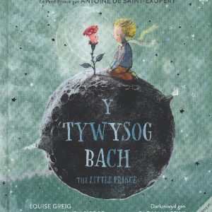 Y Tywysog Bach / The Little Prince