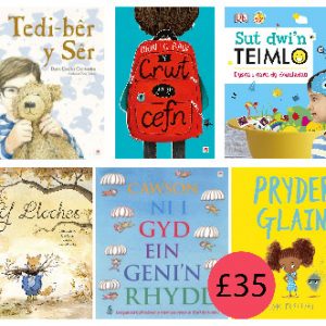 Pecyn Iechyd Da - Cymraeg Rily (6 Llyfr)