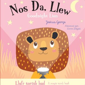 Nos Da, Llew / Goodnight Lion