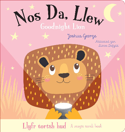 Nos Da, Llew / Goodnight Lion