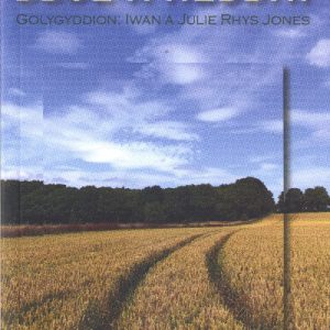 Diwinydda Ddoe a Heddiw