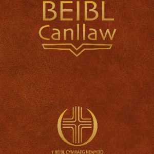 Beibl Canllaw, Y