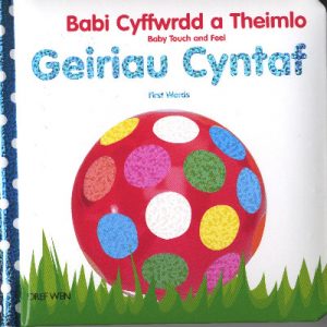 Babi Cyffwrdd a Theimlo/Baby Touch and Feel: Geiriau Cyntaf/First Words
