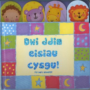 Dwi Ddim Eisiau Cysgu!/I'm Not Sleepy!