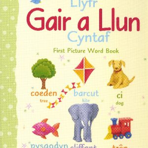 Llyfr Gair a Llun Cyntaf/First Picture Word Book