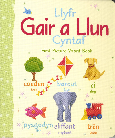 Llyfr Gair a Llun Cyntaf/First Picture Word Book
