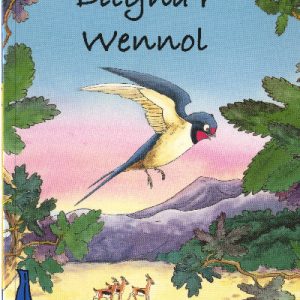 Cyfres Bananas Glas: Dilyna'r Wennol