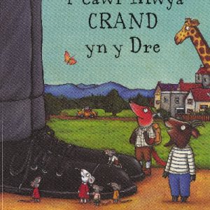 Cawr Mwya Crand yn y Dre, Y