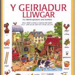 Y Geiriadur Lliwgar
