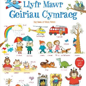 Llyfr Mawr Geiriau Cymraeg