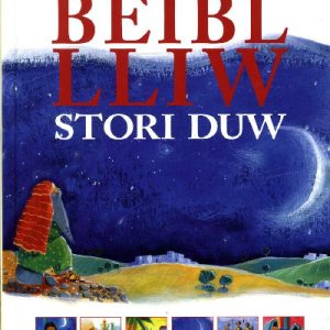Beibl Lliw Stori Duw