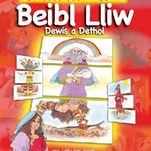 Beibl Lliw Dewis a Dethol