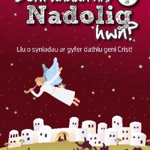 Beth Wnawn Ni'r Nadolig Hwn? Llyfr 2