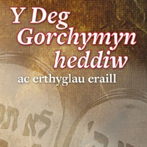 Deg Gorchymyn ac Erthyglau Eraill, Y