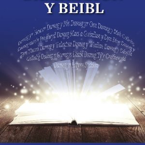 Damhegion y Beibl