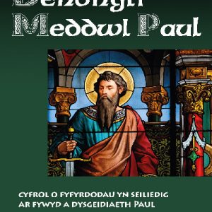 Dehongli Meddwl Paul