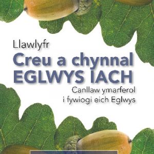 Creu a Chynnal Eglwys Iach