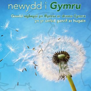 Cenhadaeth Newydd i Gymru