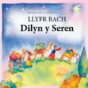 Llyfr Bach Dilyn y Seren