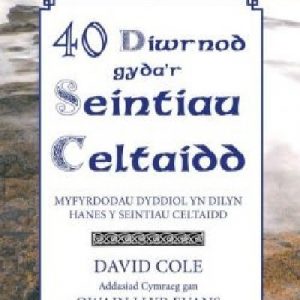 40 Diwrnod Gyda'r Seintiau Celtaidd - Myfyrdodau Dyddiol yn Dilyn Hanes y Seintiau Celtaidd