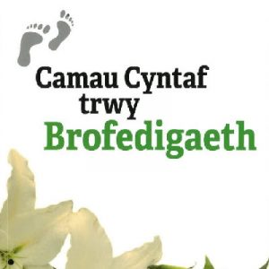 Camau Cyntaf trwy Brofedigaeth