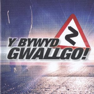 Y Bywyd Gwallgo!