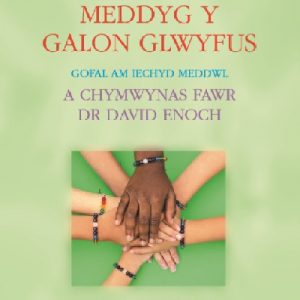 Meddyg y Galon Glwyfus - Gofal am Iechyd Meddwl a Chymwynas Fawr Dr David Enoch