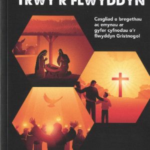 Ambell Gam Trwy'r Flwyddyn