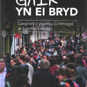 Gair yn ei Bryd