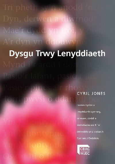Dysgu trwy Lenyddiaeth