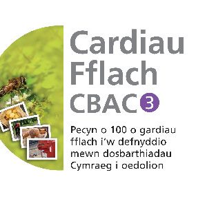 Cardiau Fflach CBAC 3