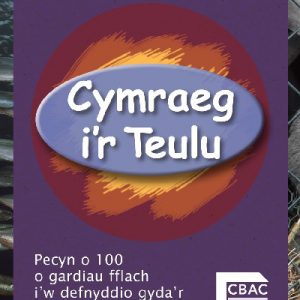 Cymraeg i'r Teulu: Cardiau Fflach Bach
