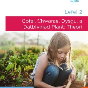 Lefel 2 Gofal, Chwarae, Dysgu a Datblygiad Plant: Theori. CBAC