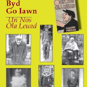 Byd Go Iawn Un Nos Ola Leuad