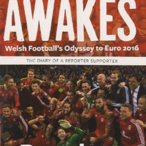 Zombie Nation Awakes - Welsh Football's Odyssey to Euro 2016, The Diary of a Reporter Supporter