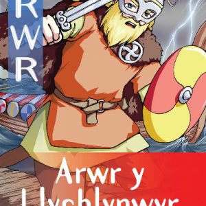 Cyfres Arwr - Dewis dy Dynged: Arwr 4. Arwr y Llychlynwyr