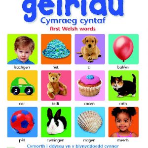 Geiriau Cymraeg Cyntaf