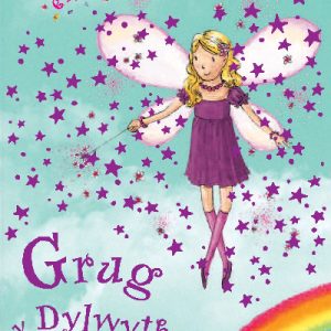 Cyfres Hud yr Enfys: Grug y Dylwythen Deg Borffor
